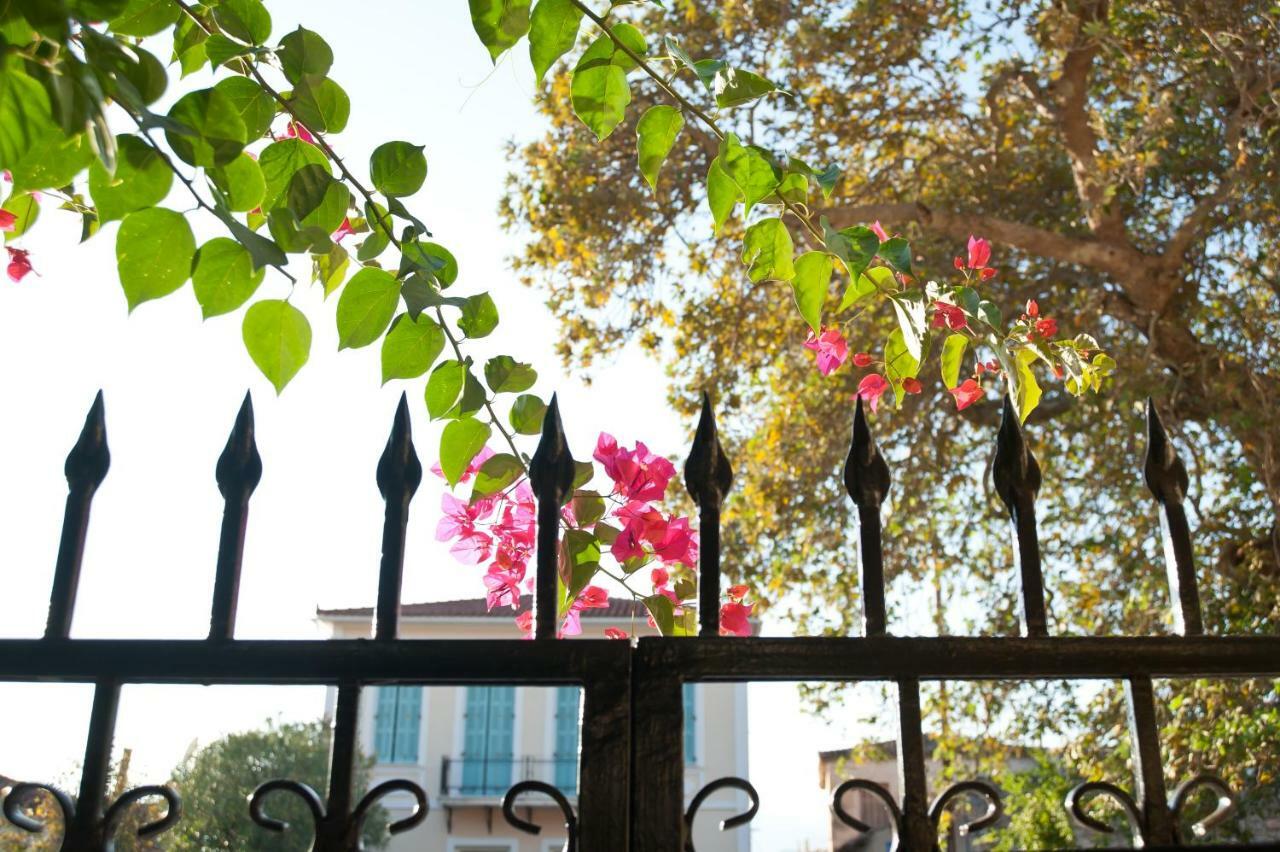 Elia Apartments Chrisso Delphi Dış mekan fotoğraf